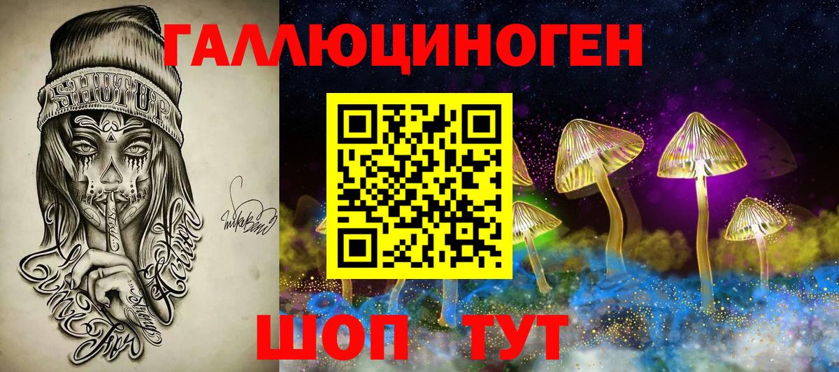 Ковров  наркотики  Вход с VPN  Псилоцибиновые грибы мицелий 